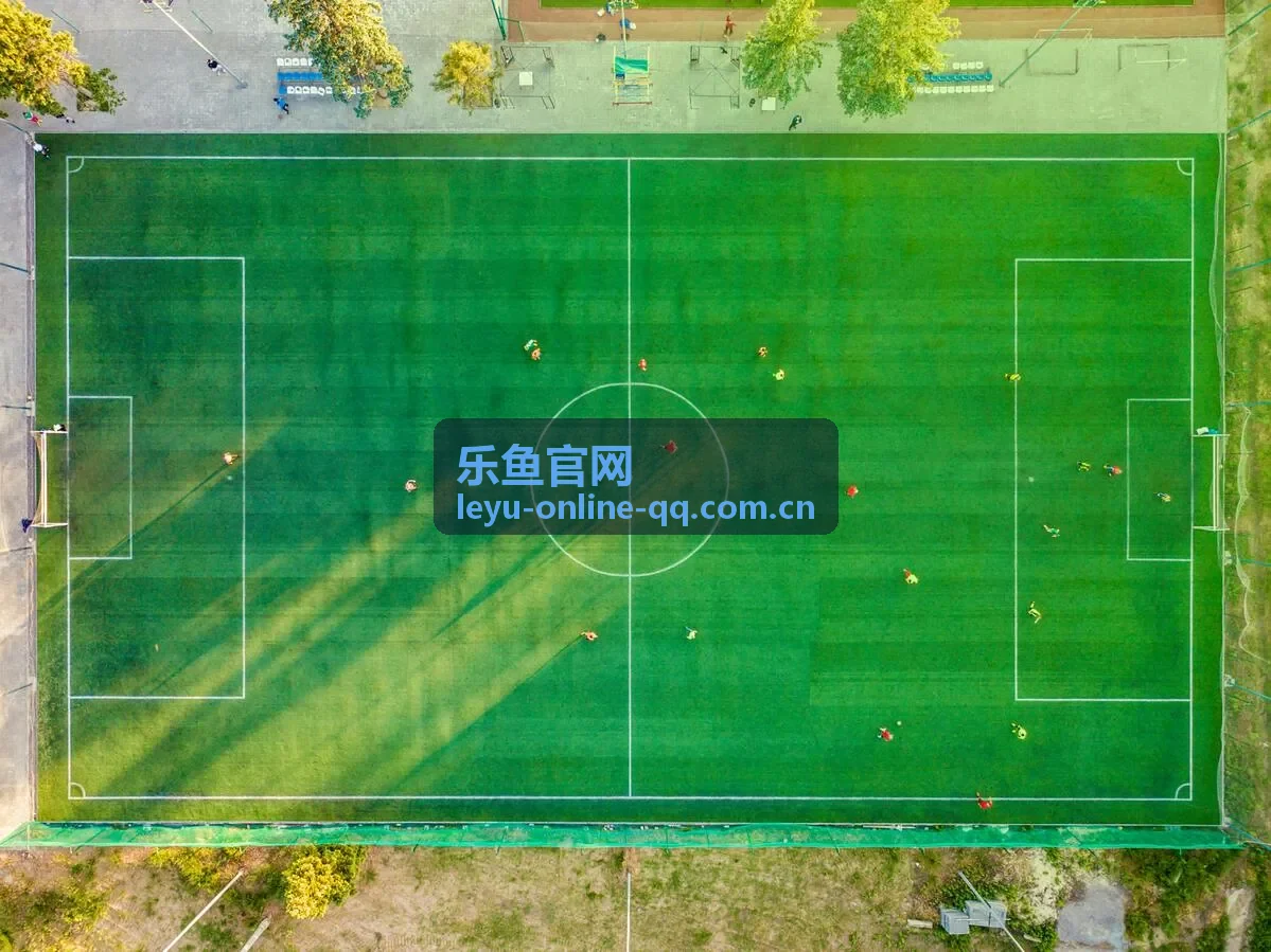乐鱼官网深度专栏封面：控球率与比赛结果关系